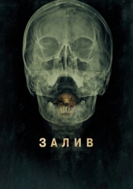 Залив (2012)