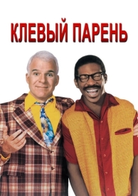 Клёвый парень (1999)