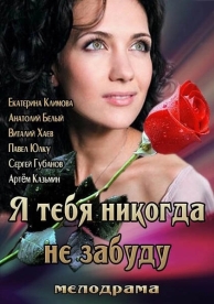 Я тебя никогда не забуду (2013)