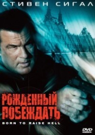 Рожденный побеждать (2010)