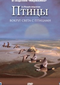 Птицы (2001)