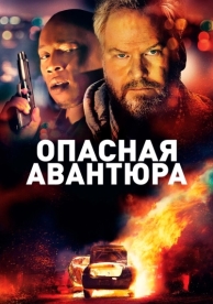 Опасная авантюра (2018)