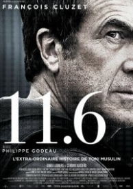 11.6 (2013)