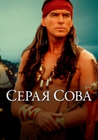 Серая сова (1998)