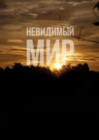 Невидимый мир (2012)