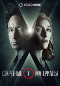 Секретные материалы (11 сезон)