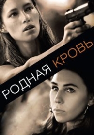 Сочувствующая сторона (2015)