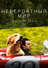 Невероятный мир глазами Энцо (2019)