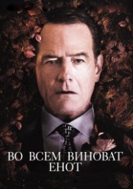 Во всем виноват енот (2016)