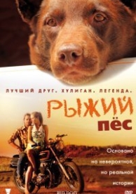 Рыжий пес (2011)